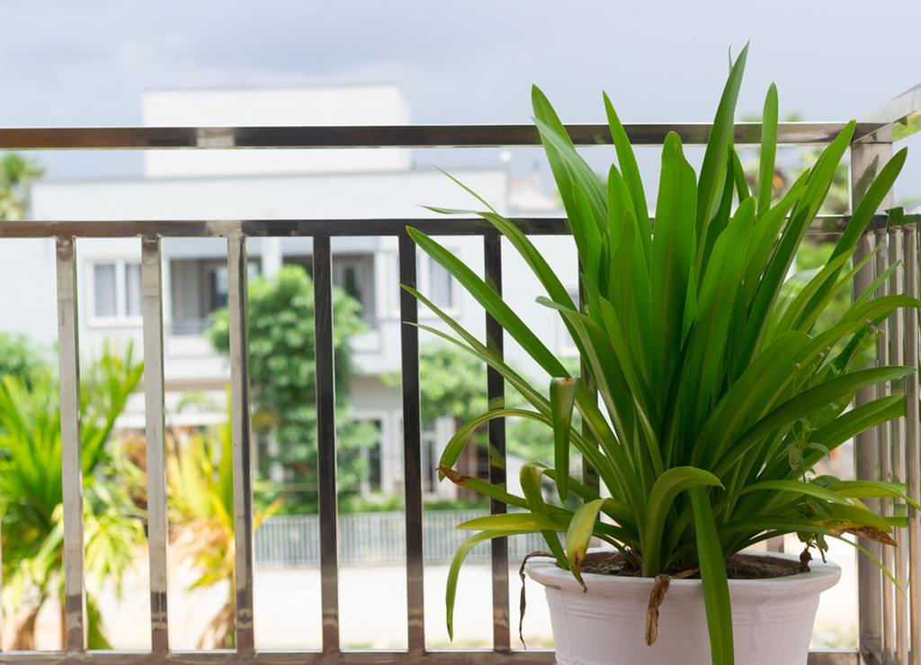 Overflow Guesthouse Siem Reap Exterior photo